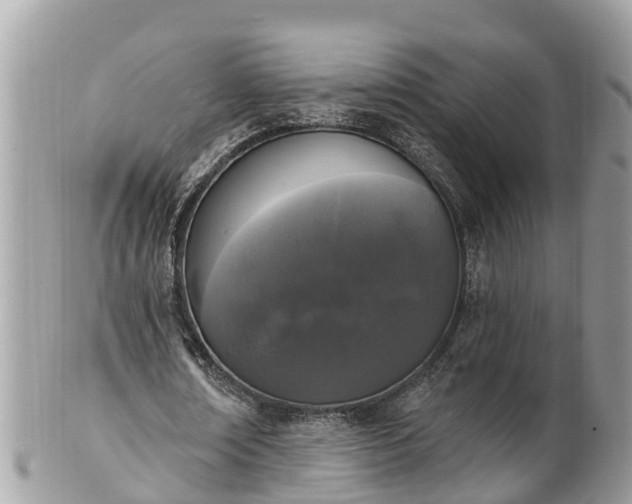 X0000101230674200807071413