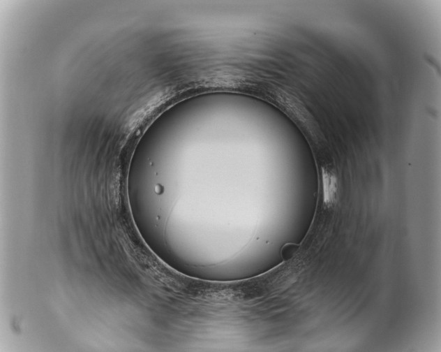 X0000101230675200807071413