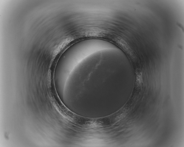 X0000101230678200807071413