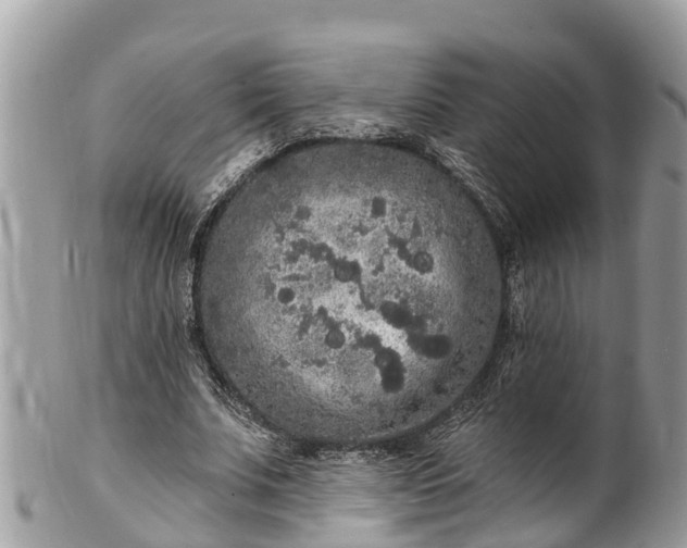 X0000101230679200807071413