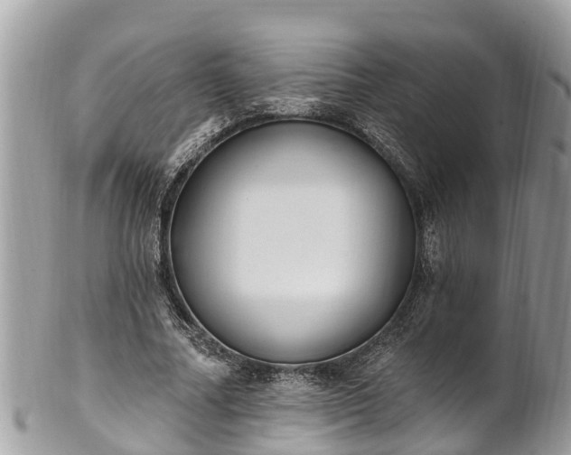 X0000101230682200807071413