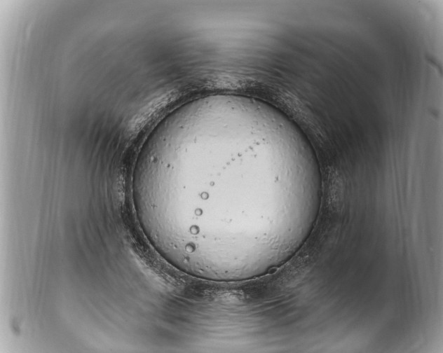 X0000101230683200807071413