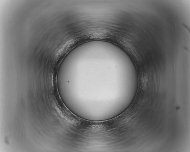 X0000101230686200807071412