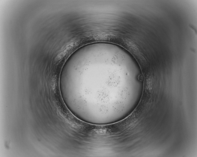 X0000101230687200807071412