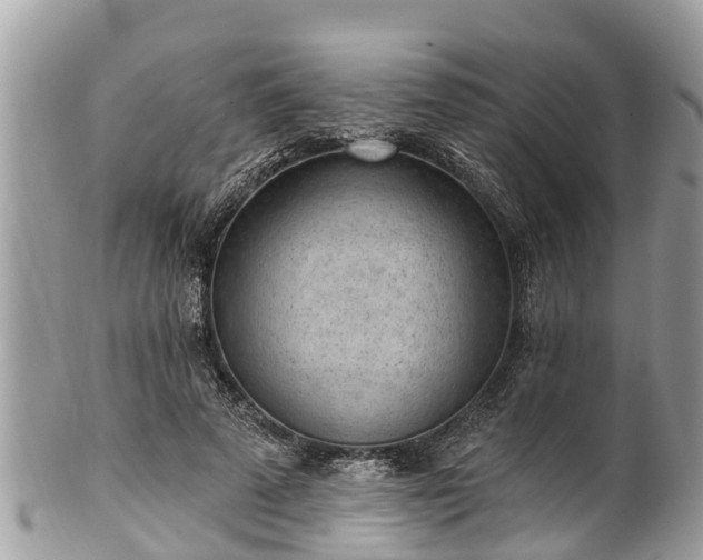 X0000101230689200807071412