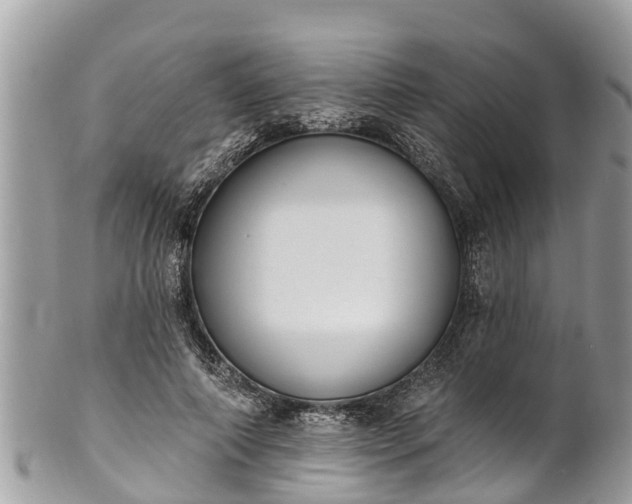 X0000101230690200807071412