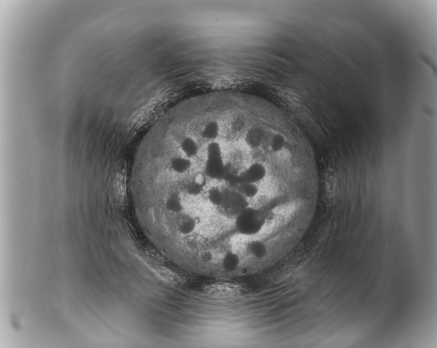 X0000101230691200807071412