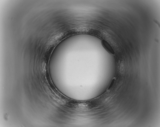 X0000101230692200807071412