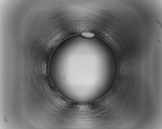 X0000101230693200807071412