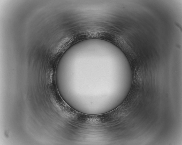 X0000101230694200807071412