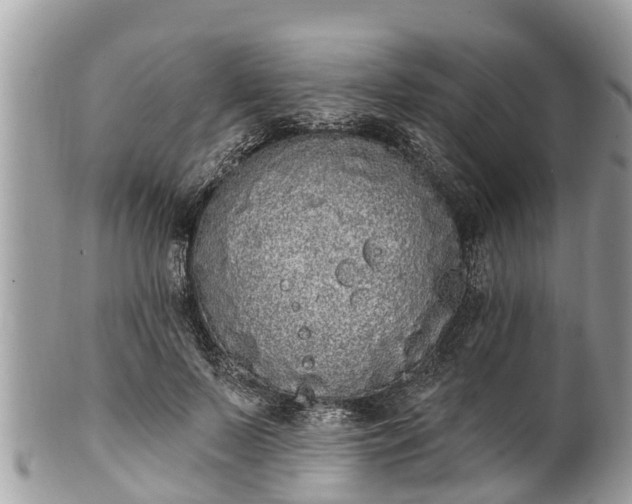 X0000101230695200807071412