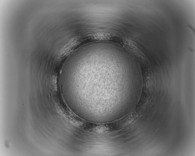 X0000101230696200807071412