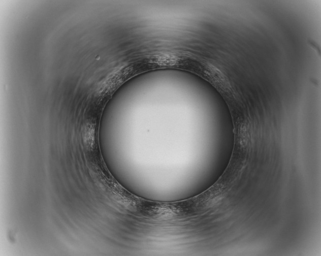 X0000101230697200807071412