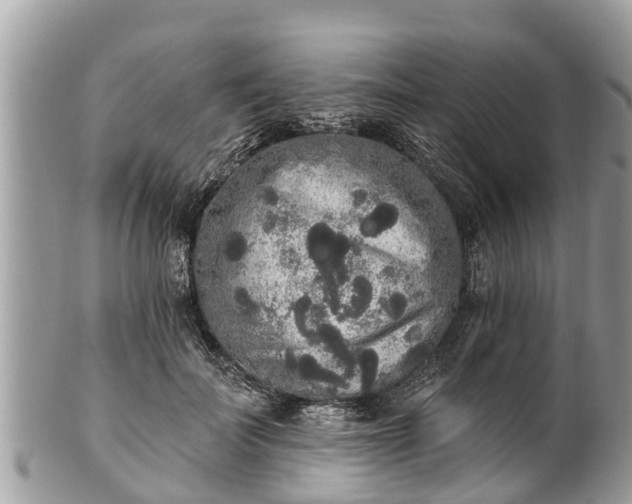 X0000101230699200807071412