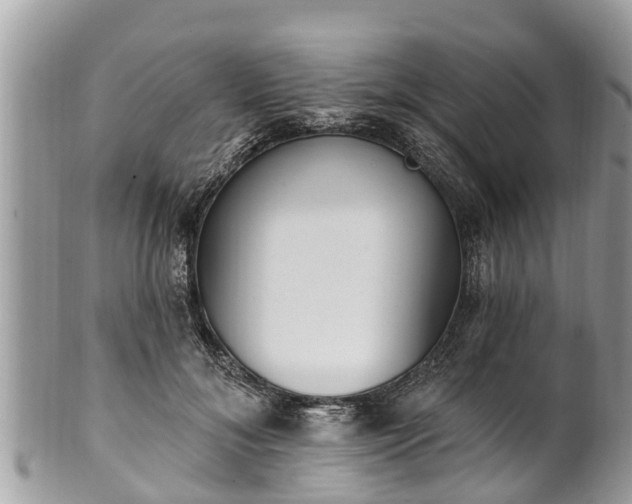 X0000101230700200807071412