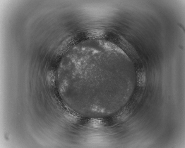 X0000101230701200807071412