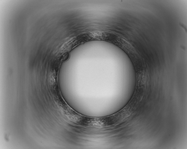 X0000101230702200807071412