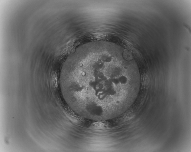 X0000101230703200807071412