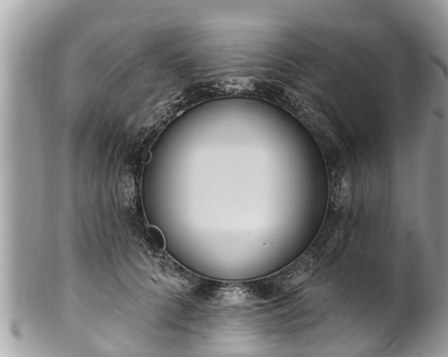 X0000101230704200807071412