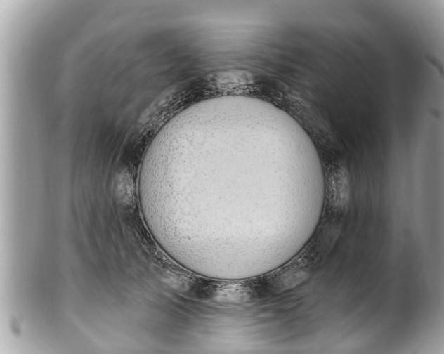 X0000101230705200807071412