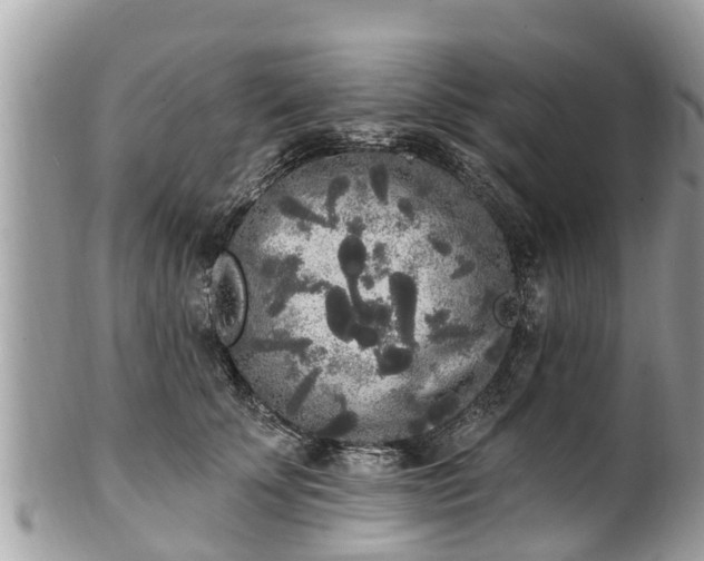 X0000101230707200807071412