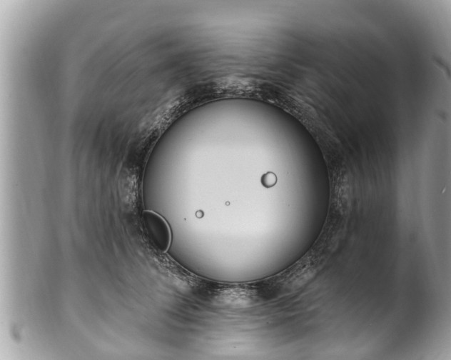 X0000101230708200807071412