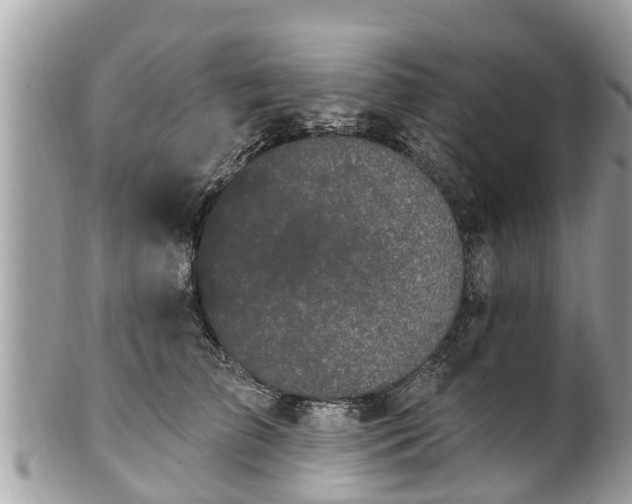 X0000101230709200807071412