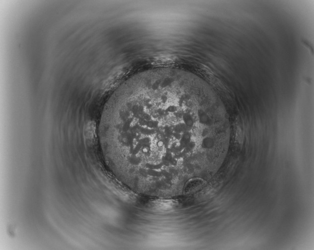 X0000101230711200807071412