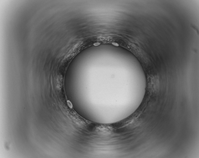 X0000101230712200807071412