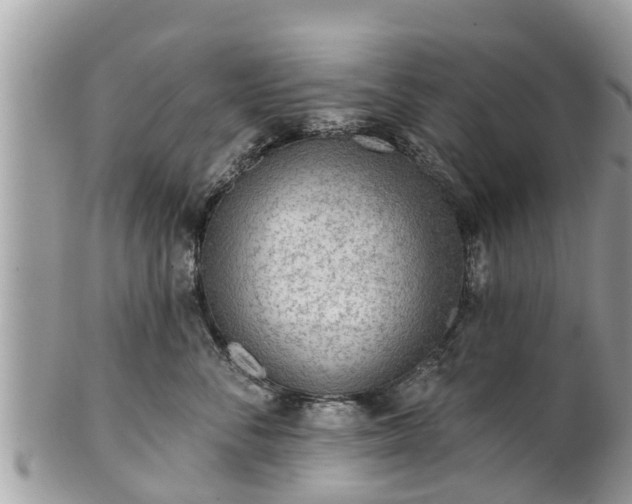 X0000101230716200807071412