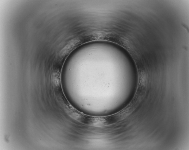 X0000101230719200807071412