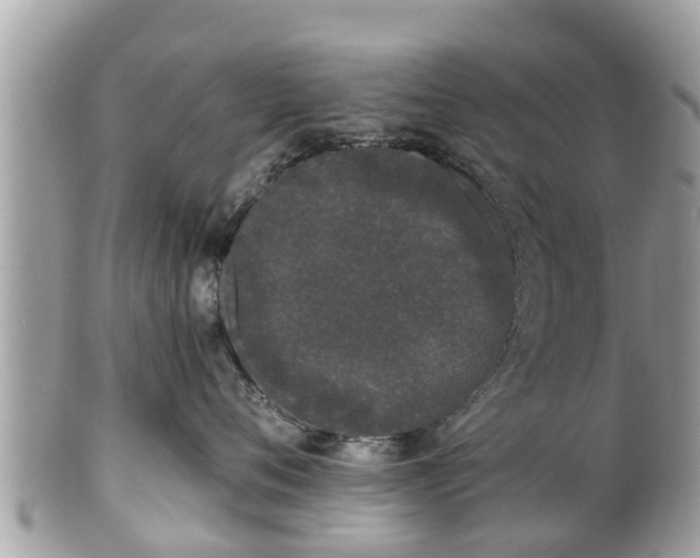 X0000101230720200807071412