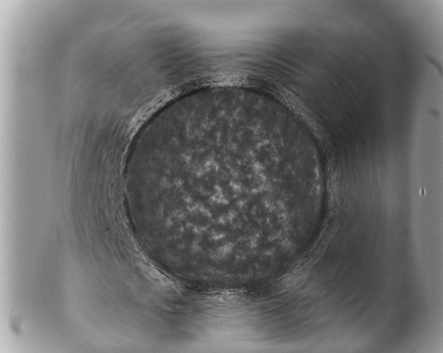 X0000101230721200807071411