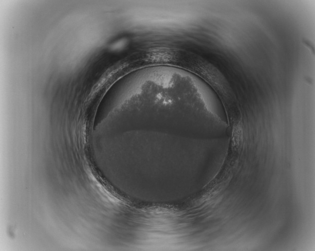 X0000101230722200807071411