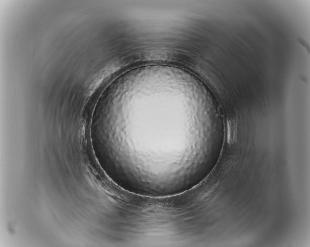 X0000101230723200807071411