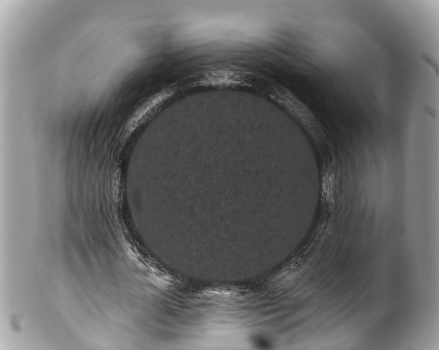 X0000101230724200807071411