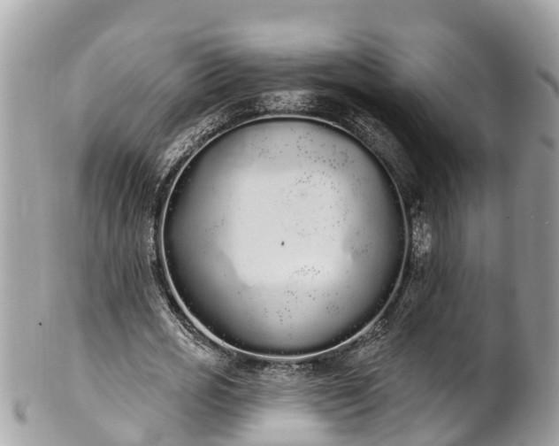 X0000101230725200807071411