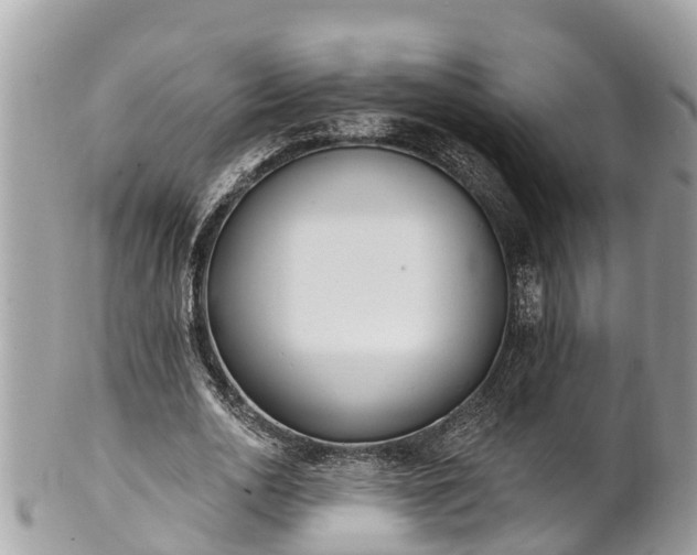 X0000101230726200807071411