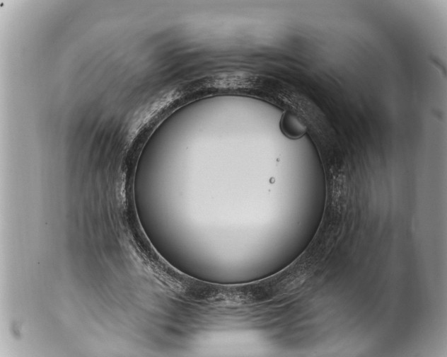 X0000101230727200807071411