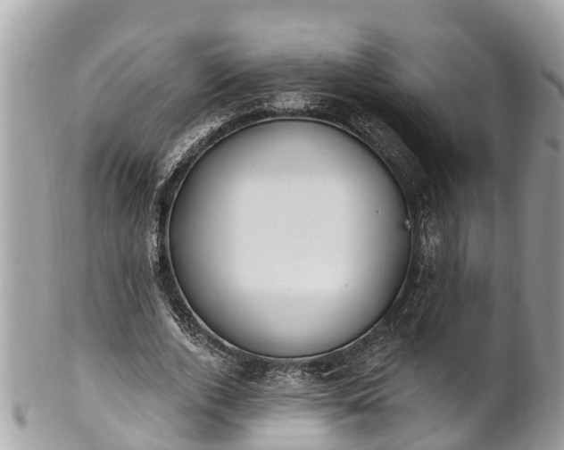 X0000101230728200807071411