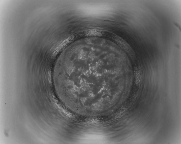 X0000101230729200807071411