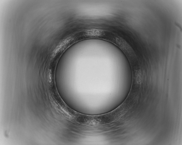 X0000101230731200807071411