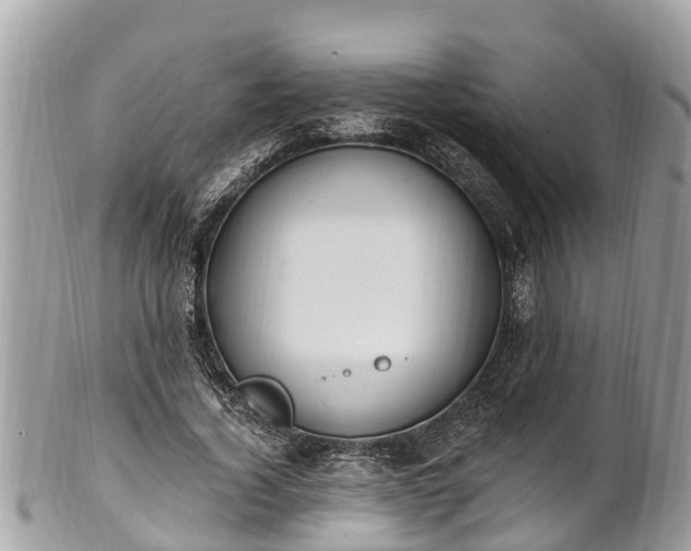 X0000101230732200807071411