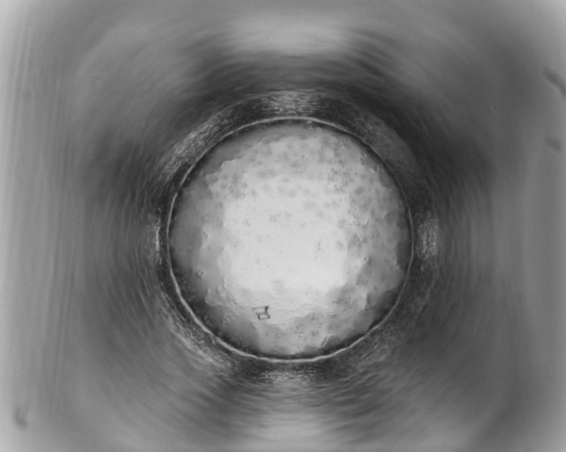 X0000101230733200807071412