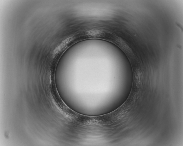 X0000101230734200807071412