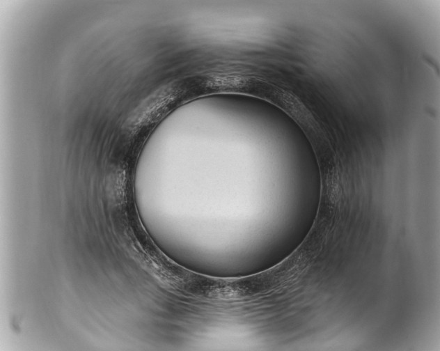 X0000101230735200807071412