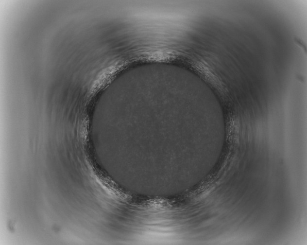 X0000101230736200807071412