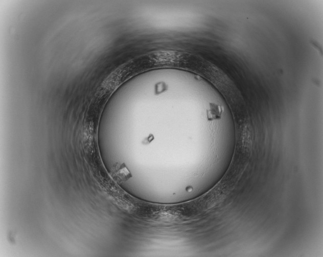 X0000101230737200807071412