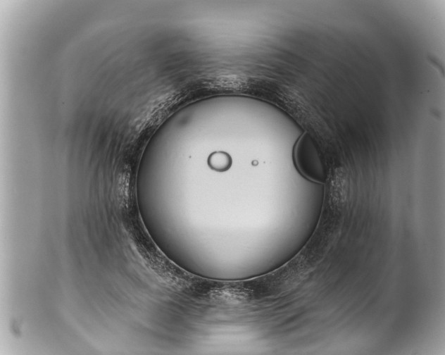 X0000101230739200807071412