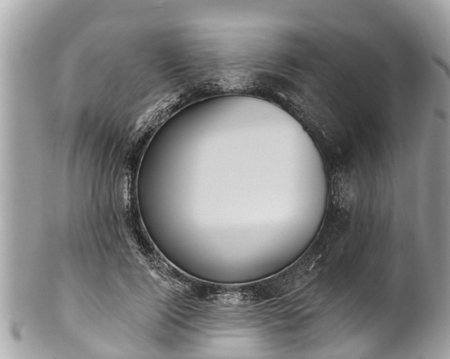 X0000101230740200807071412